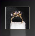 To add this item in your Shopping Cart drag and drop this picture there