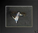 To add this item in your Shopping Cart drag and drop this picture there