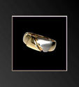 To add this item in your Shopping Cart drag and drop this picture there