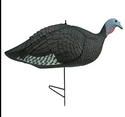Click here to view item details