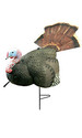 Click here to view item details
