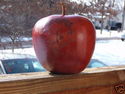Click here to view item details