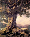 "An Ancient Tree" BIG Maxfield Parrish Art Deco Pr