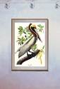 John James Audubon "Brown Pelican" Art Print