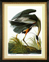 Audubon "Great Blue Heron" HUGE Audubon Fine Art P