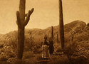 "Hasen Harvest Qahatik BIG" Edward S.Curtis Indian