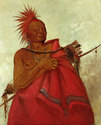 "Mad Buffalo" HUGE George Catlin Native American I