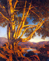 "Old White Birch" BIG Maxfield Parrish Art Deco Pr