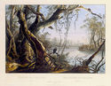 Mouth of Fox River Indiana 15x22 Karl Bodmer Nativ