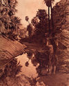 Palm Canyon 15x22  Edward Curtis Native American I