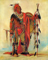 Watchful Fox Indian Chief 22x30 George Catlin Nati