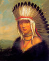 The Pawnee Brave 22x30 George Catlin Native Americ