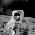 "Astronaut With Lunar Soil" HUGE Art Print of NASA