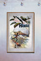 A Trip To Hawaii 15x22 Old surfing Art Print Surfi