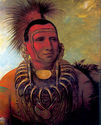 Little Wolf Iowa Indian 22x30 George Catlin Native