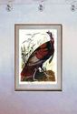 Audubon Wild Turkey 15x22 Hand Numbered Ltd. Editi