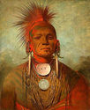 Iowa Medicine Man 22x30 Hand Numbered Edition Catl