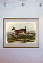 Audubon White-Tailed Deer Male 15x22 Hand Numbered