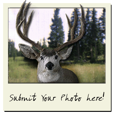Send us photos of your best rack!