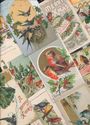 Huge Collectible Lot of Antique~CHRISTMAS BIRDS~ V