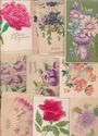 Huge Estate Lot  Collection  Greetings Postcards i