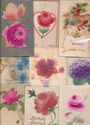 Huge Estate Lot  Collection  Greetings Postcards i