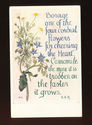  Herb Garden Series Postcard- Borage -Camomile-Unu