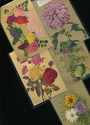 Lot of 5 Floral Vintage flowers greetings Postcard