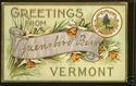 GREETINGS FROM GREENSBORO BEND, VERMONT POSTCARD-N