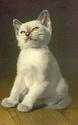 Cute White CAT Postcard-Stehli Swiss Unused-ff873