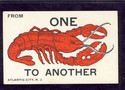 LOBSTER  Atlantic City NJ postcard LOBSTERITIS-LL2