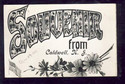 1907 Souvenir From Caldwell, New Jersey Postcard-L
