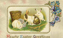 Bunny Rabbits in Grass Antique Easter Postcard-mm1