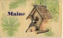 Wood Wooden Postcard Bird in House -Maine-unused-k
