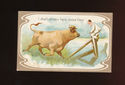 Bull Chases Man on Fence old vintage Comic Postcar