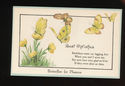 "Butterflies for Pleasure" Greetings postcard earl