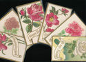 ~Nice Lot of 6 Floral Greetings Postcards with Flo