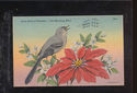Mocking Bird & Flowers Vintage Antique Postcard-Un