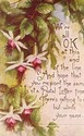 We're All OK ARTS & CRAFTS Vintage POEM POSTCARD-W