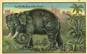 Elephant Shoes in Your Trunk 1913 Comic Postcard-U