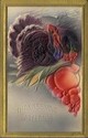 Embossed Thanksgiving Turkey & Fruits Postcard-hh4