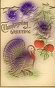 HEAVY EMBOSSED TURKEY  OLD THANKSGIVING POSTCARD-f