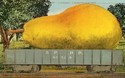 EXAGGERATION POSTCARD, GIANT PEAR, RAILROAD CAR-ii