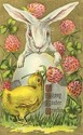 Bunny Rabbit & Chick Embossed Easter Postcard-hh28