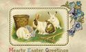 ~Cute~Bunny Rabbits in Grass Antique Easter Postca