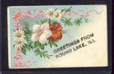 Old Greetings from Round Lake, Illinois Postcard-n