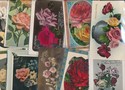 Lovely LOT of 15 VINTAGE ~FLOWERS PHOTO POSTCARDS-