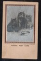 1906 Antique Deeks Puzzle Postcard-Dogs & Cats-- s