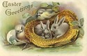 Cute Bunny Rabbits in Straw Hat Easter Postcard-dd