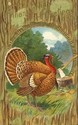 Turkey & Hatchet VintageThanksgiving Postcard-ee41